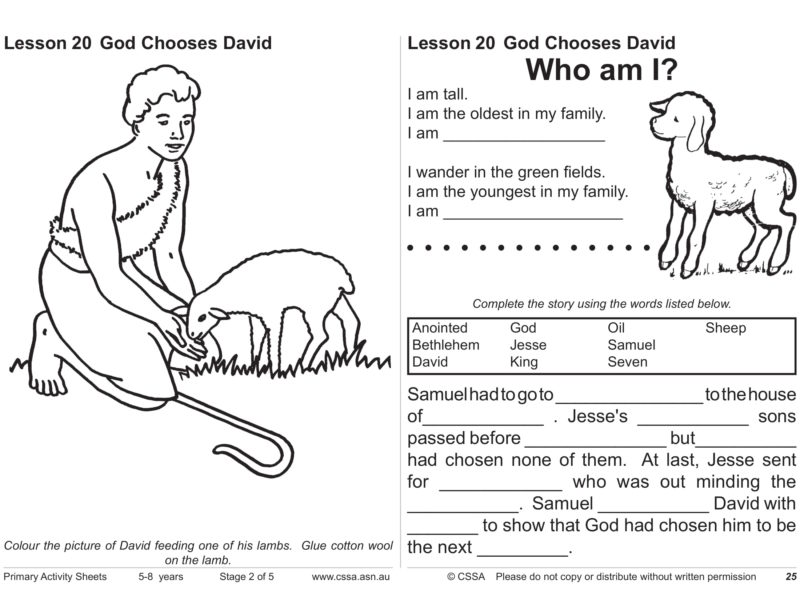 God Chooses David (CSSA Primary Stage 2 Lesson 20) – Magnify Him Together